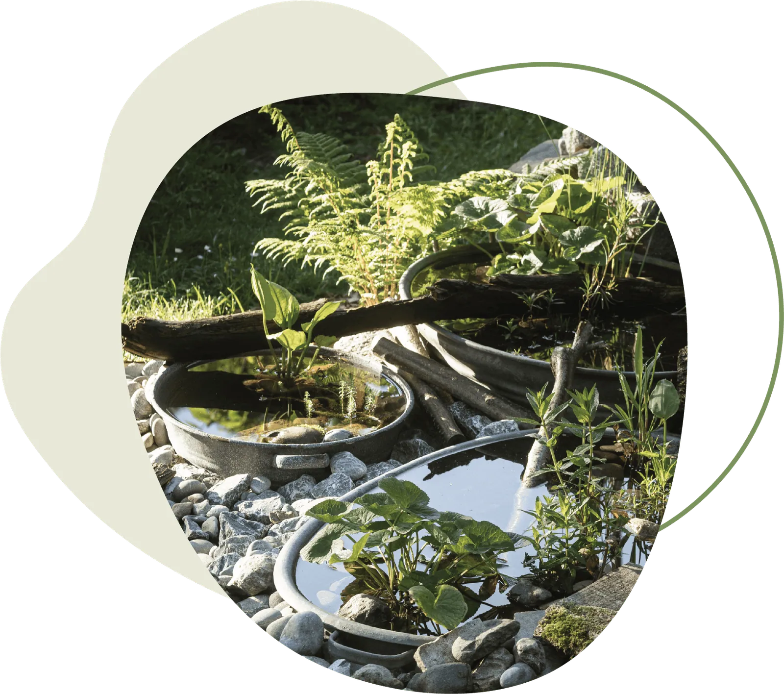 Wasserstellen und Feuchtbeete